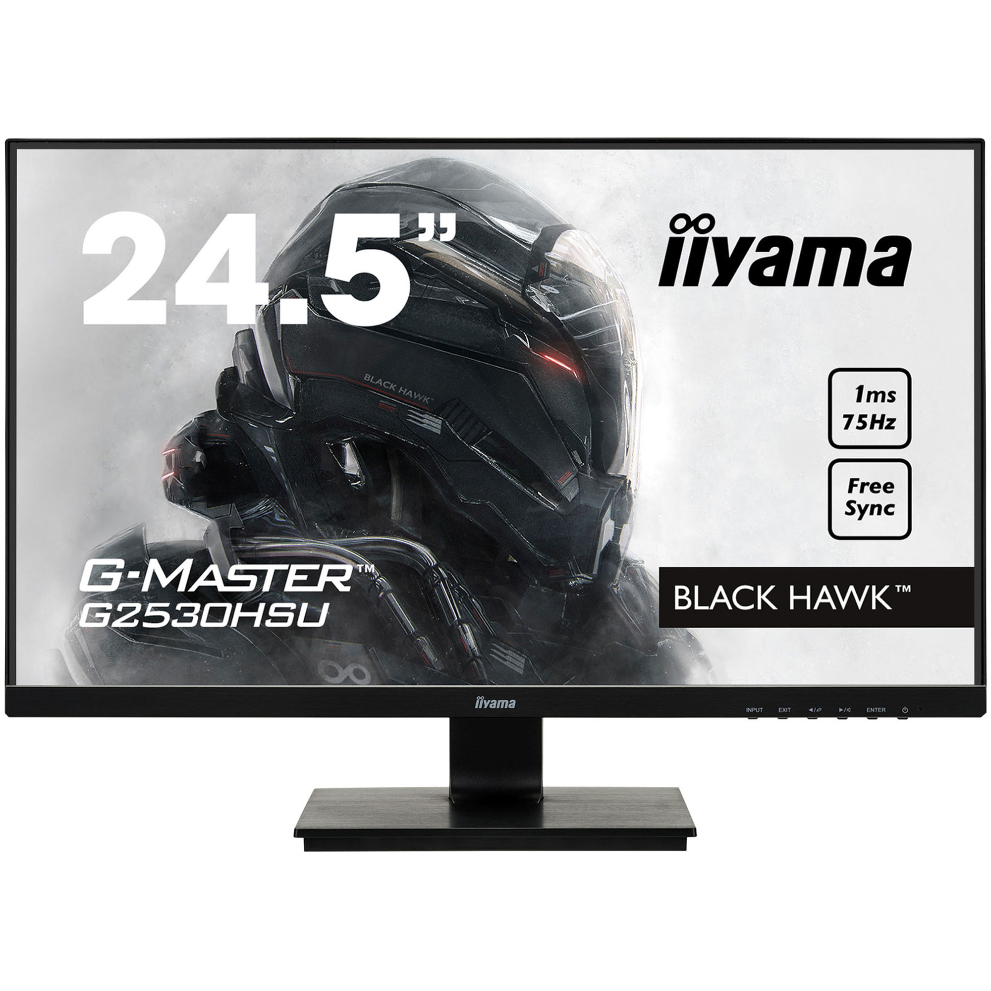 iiyama 24