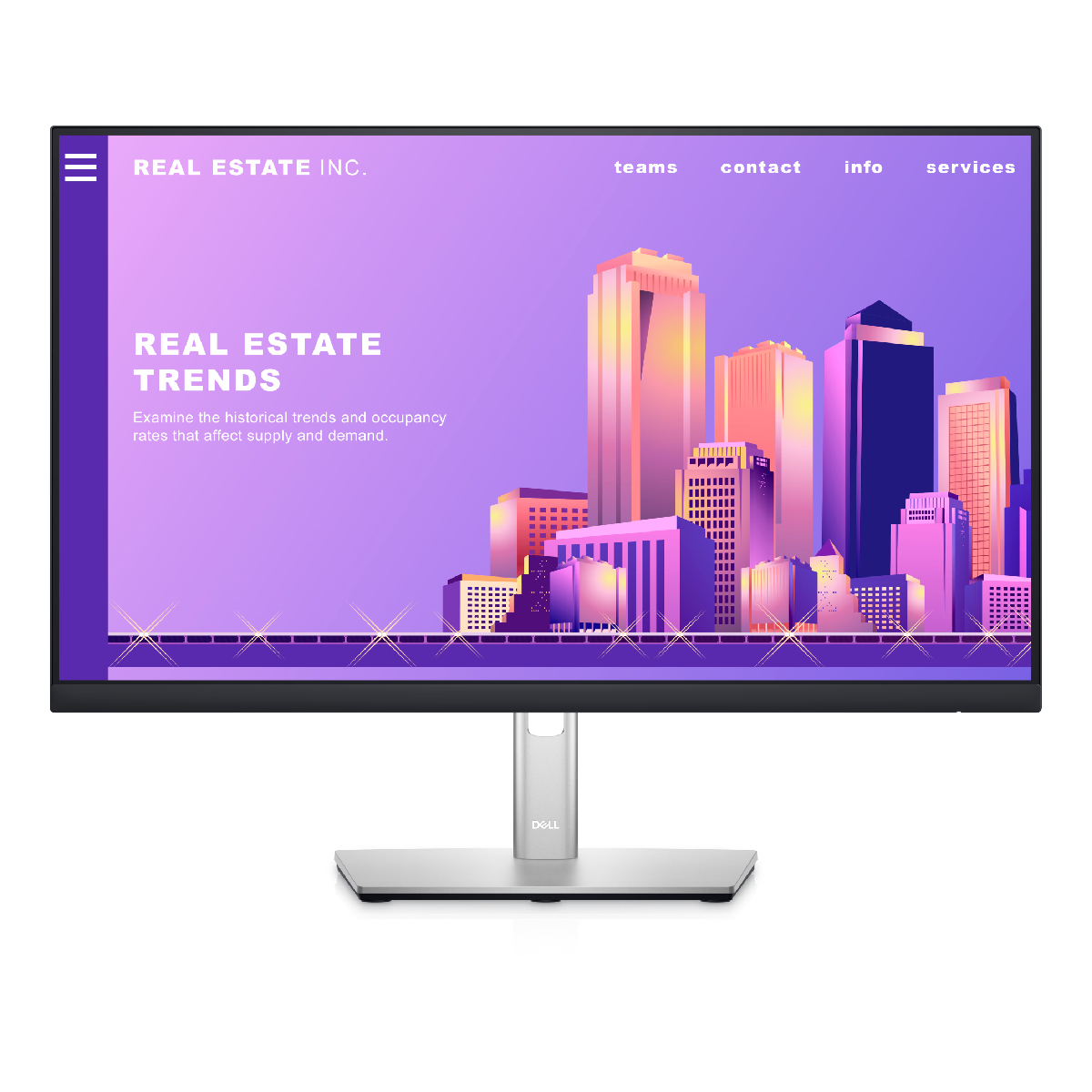 Dell P2422H 23.8" Full HD IPS .Occasion